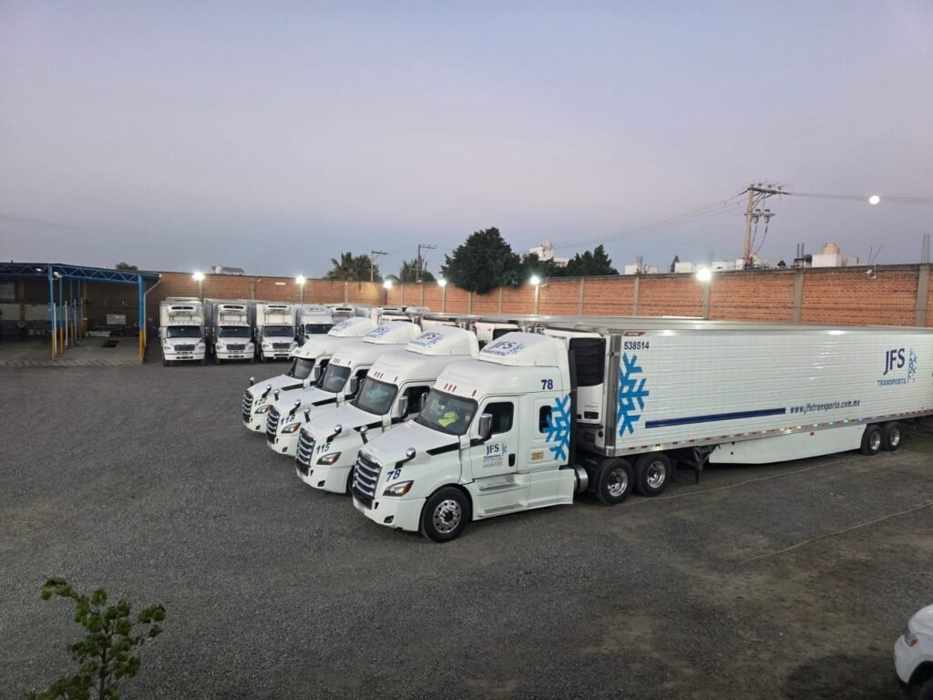 whatsapp image 2026 02 12 at 10.22.00